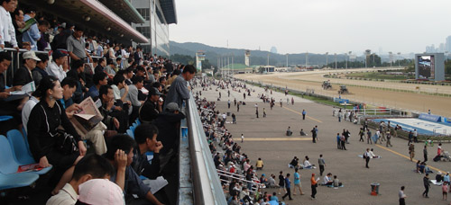 grandstand